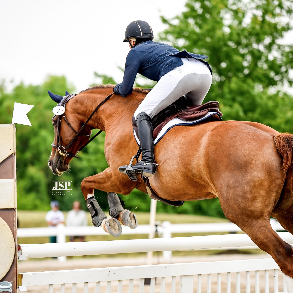 Why do I love horse show&nbsp;photography?